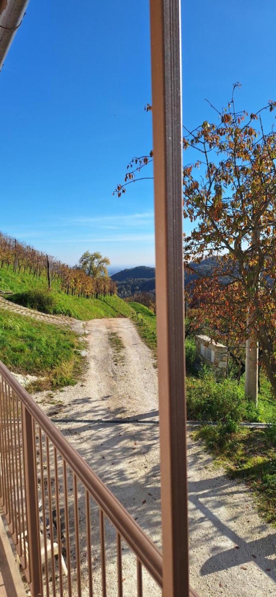 Agriturismo La Pina Tarzo Exterior photo